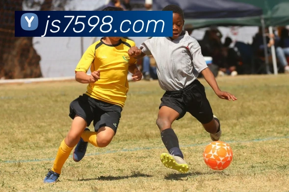 金沙娱乐官方网站平台生态图