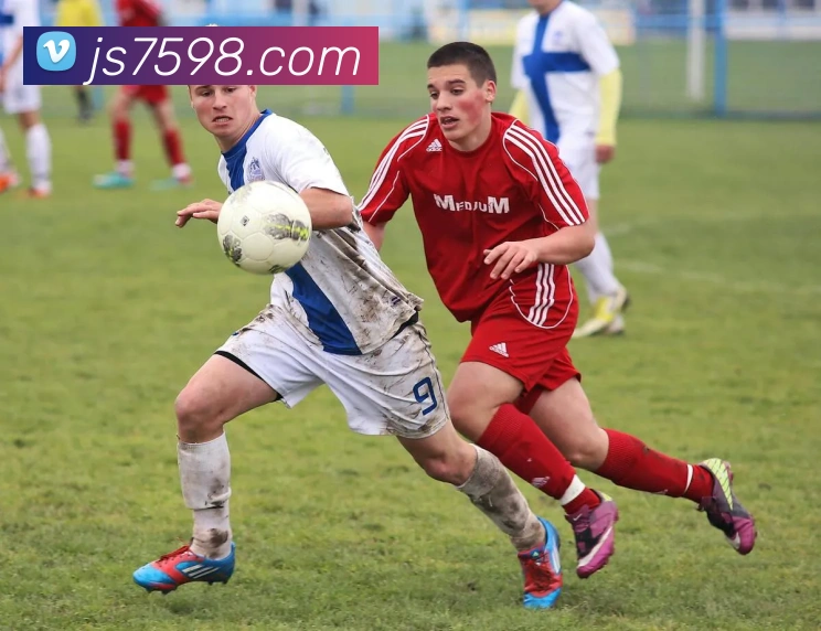 金沙娱乐官方网站APP 封面图